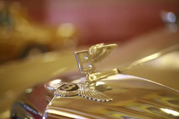 Winzinator Casino Application Android/iOS